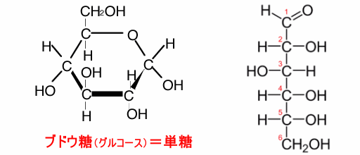 ブドウ糖(グルコース)の構造式