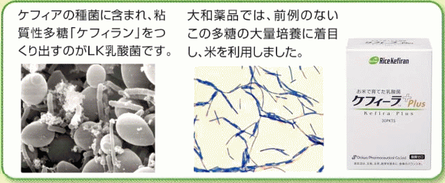 植物性乳酸菌米ケフィラン